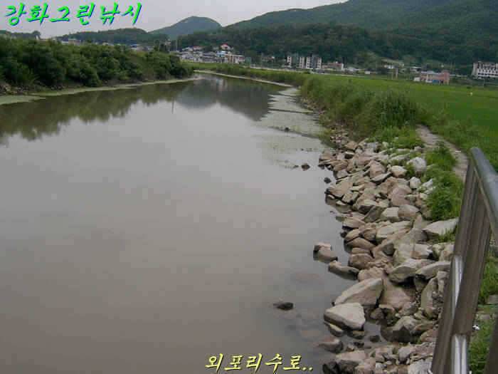 강화 수로권 조황입니다 (조황조행기 - 특파원조황)