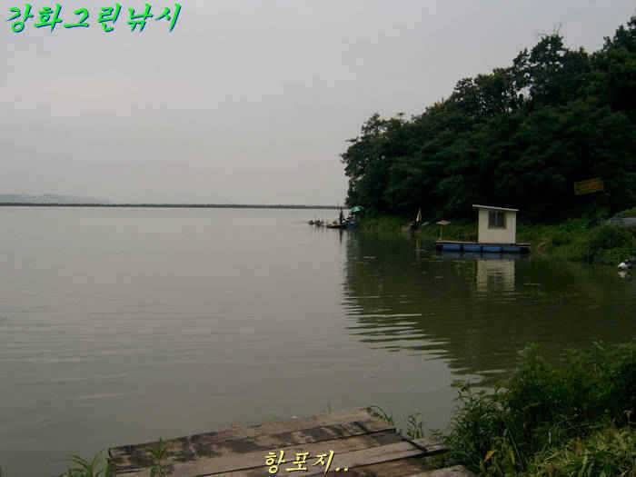 강화 항포지 4짜 입니다 (조황조행기 - 특파원조황)