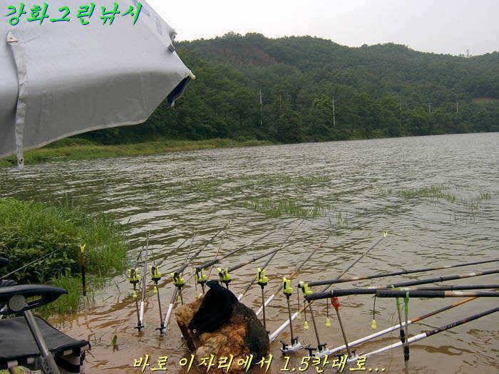 강화 항포지 4짜 입니다 (조황조행기 - 특파원조황)