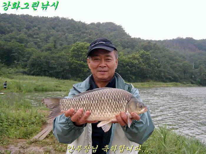 강화 항포지 4짜 입니다 (조황조행기 - 특파원조황)