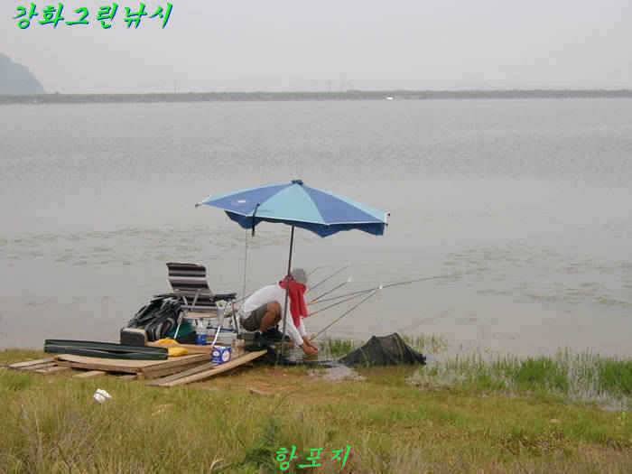 강화 항포지 4짜 입니다 (조황조행기 - 특파원조황)