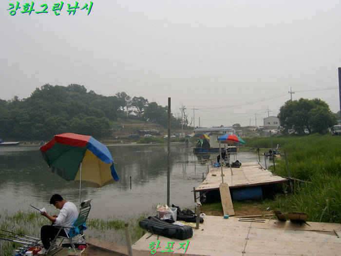 강화 항포지 4짜 입니다 (조황조행기 - 특파원조황)