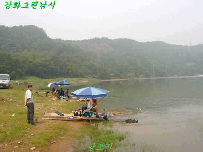 강화 항포지 4짜 입니다 (조황조행기 - 특파원조황)