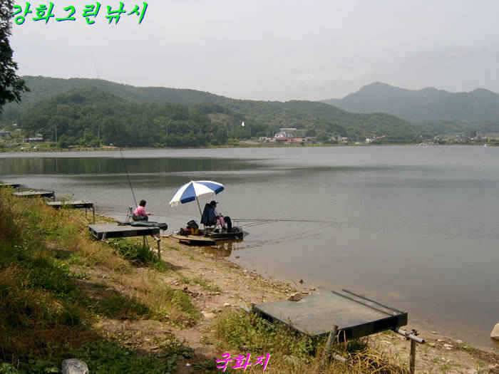 강화권 조황입니다 (조황조행기 - 특파원조황)