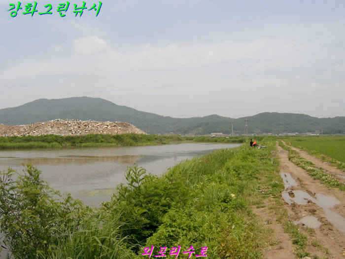 강화권 조황입니다 (조황조행기 - 특파원조황)