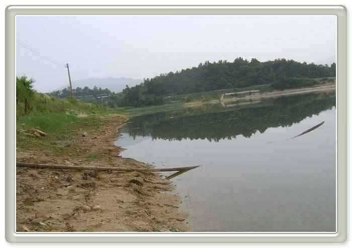 고흥권 소식입니다 (조황조행기 - 특파원조황)