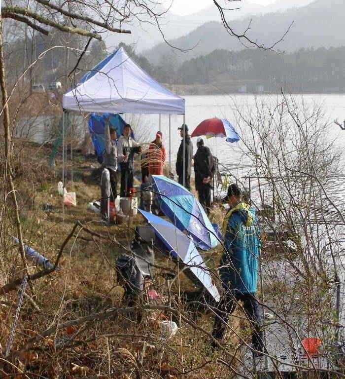 개심지 한화 보은공장 낚시동우회 시조회 (조황조행기 - 특파원조황)