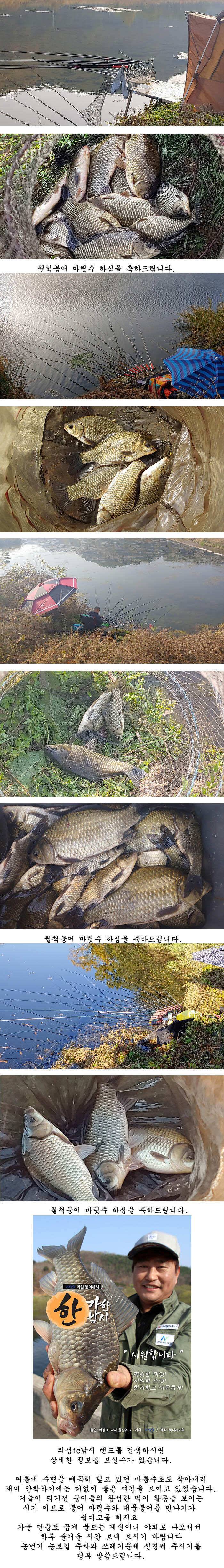 추초가 삭아내린 경북북부권 대물낚시 메카 (조황조행기 - 특파원조황)