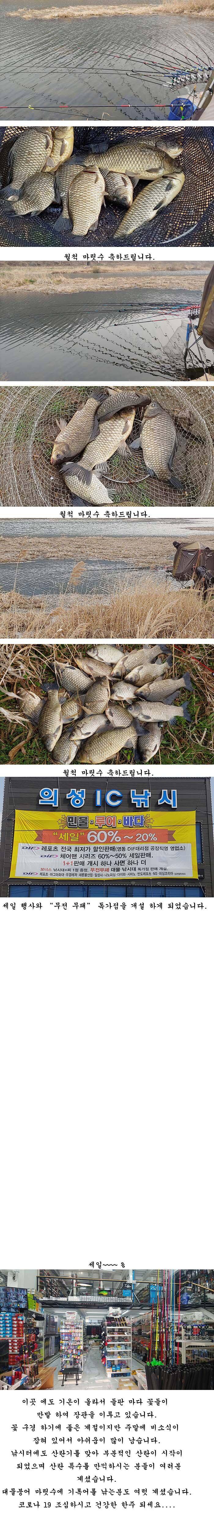 경북북부권 부분적인산란중 대물들 (조황조행기 - 특파원조황)