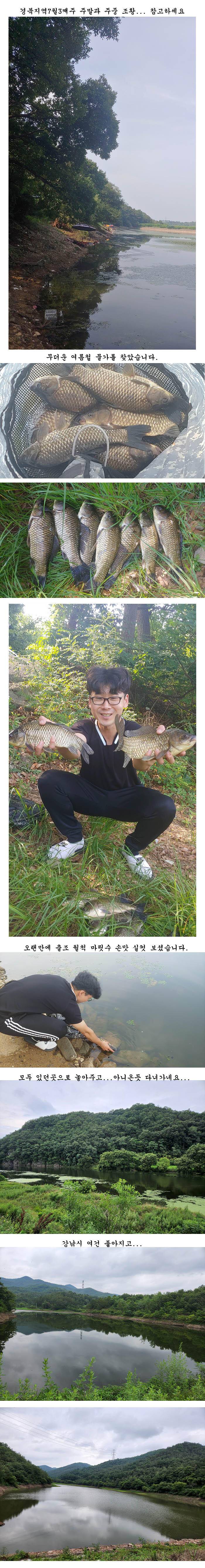 경북북부권 조황입니다 (조황조행기 - 특파원조황)