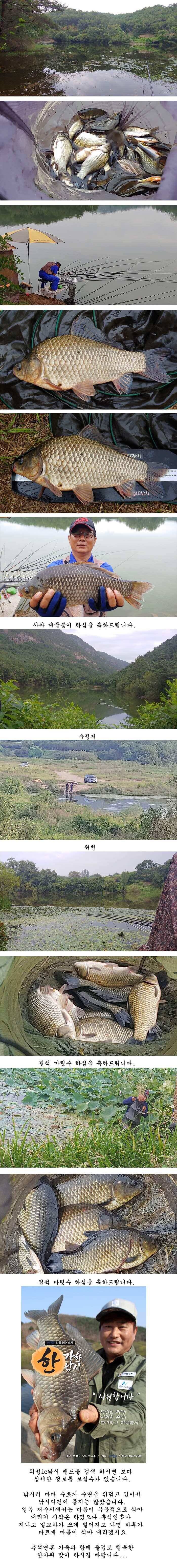 경북북부권 조황입니다 (조황조행기 - 특파원조황)