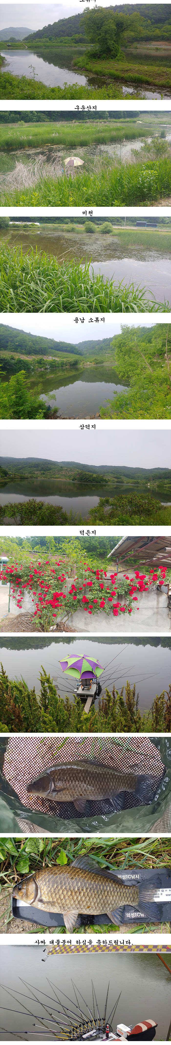 배수걱정없는 의성서부권 동부권 북부권 (조황조행기 - 특파원조황)