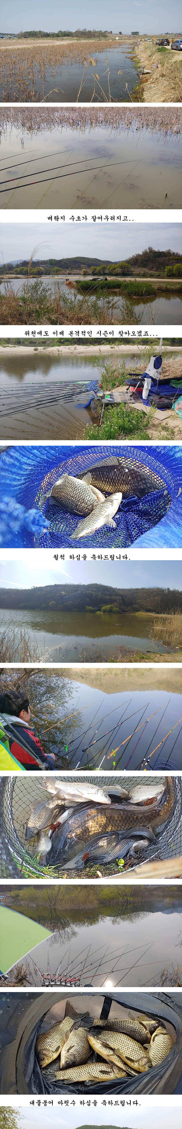 4짜와 대물마릿수들 (조황조행기 - 특파원조황)
