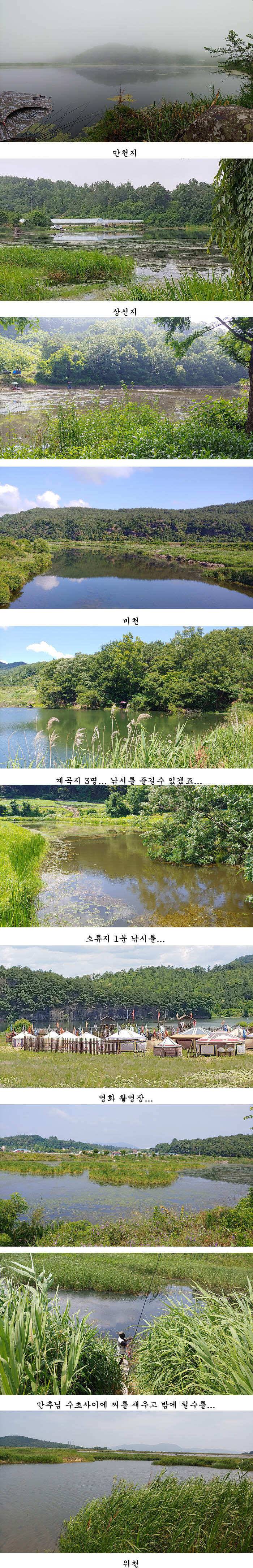 경북북부권 조황 (조황조행기 - 특파원조황)