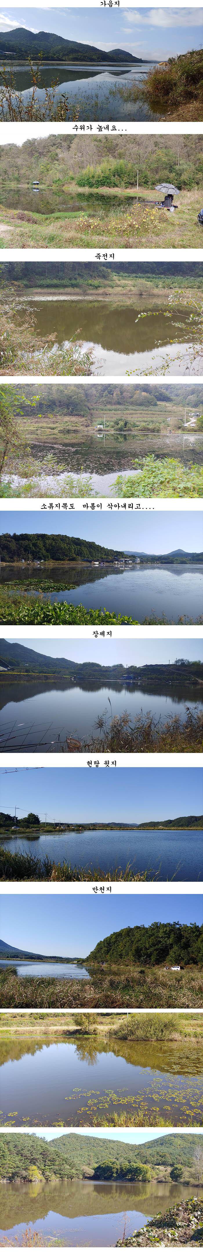 수초가 하루가 다르게 삭아내리는 경북북부권 (조황조행기 - 특파원조황)