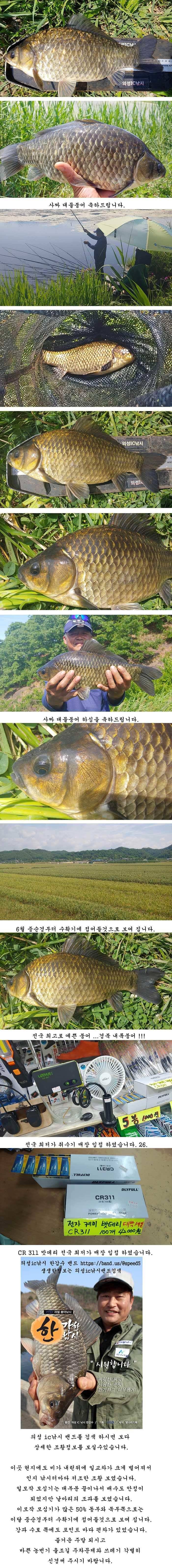 배수걱정없는 의성권 (조황조행기 - 특파원조황)