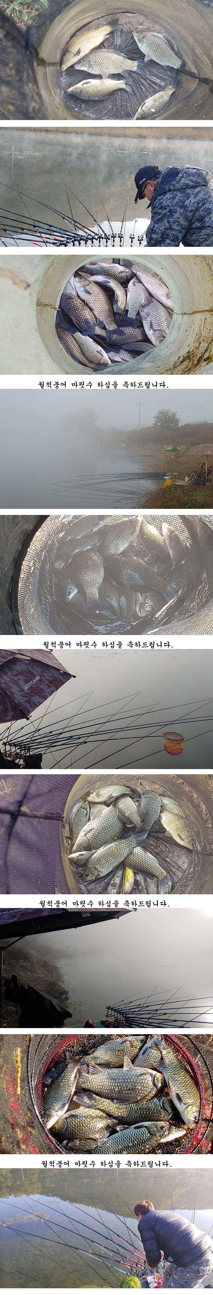 추초가 삭아내린 경북북부권 대물낚시 메카 (조황조행기 - 특파원조황)
