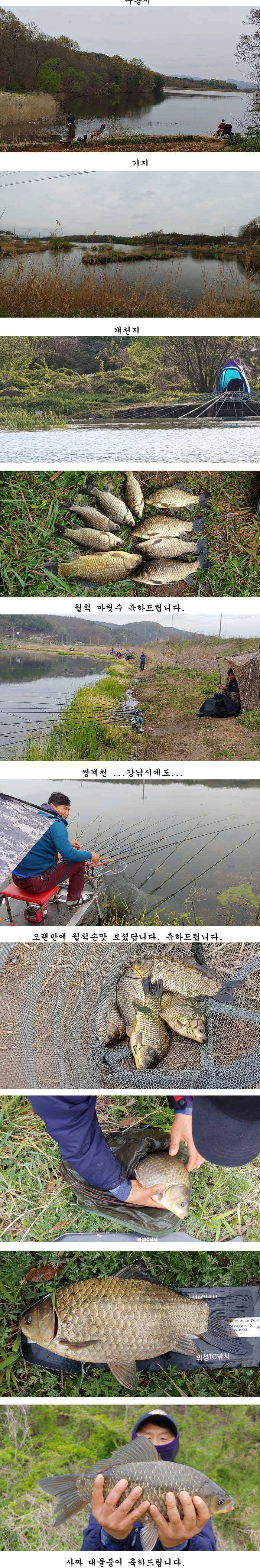 경북북부권 봄엔 대물붕어 마릿수 (조황조행기 - 특파원조황)