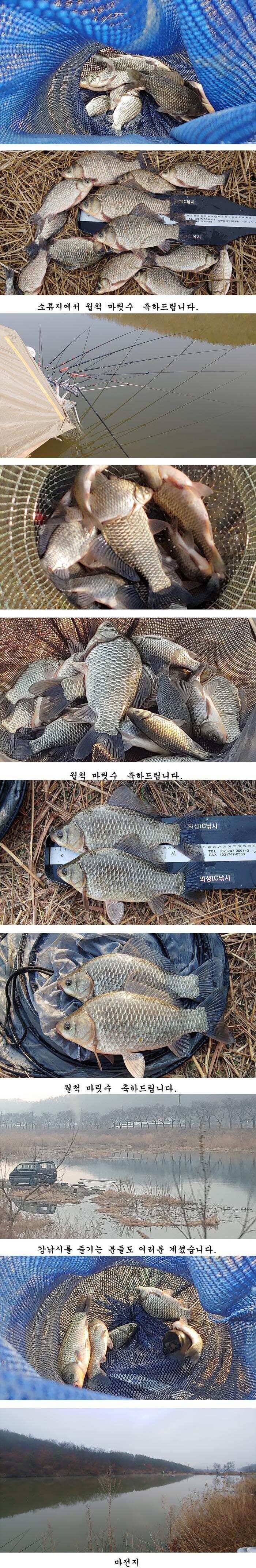 경북의성권 조황입니다 (조황조행기 - 특파원조황)