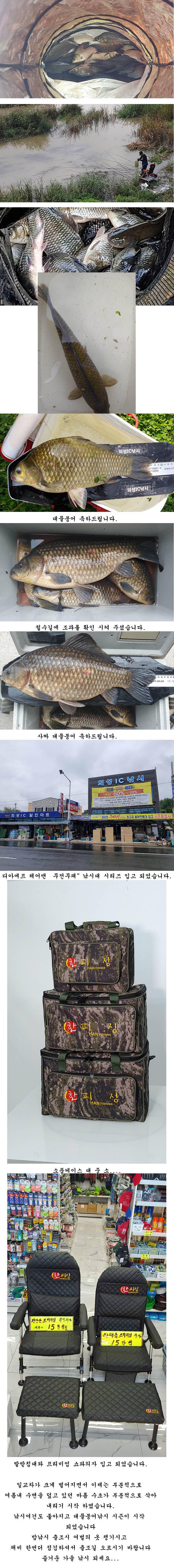 경북북구권 마름수초가 부분적으로 삭아내리기 시작하고 (조황조행기 - 특파원조황)