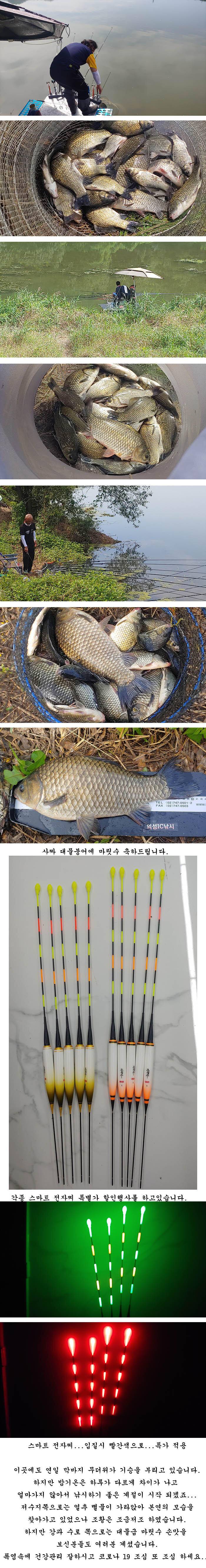 경북의성권 조황입니다 (조황조행기 - 특파원조황)