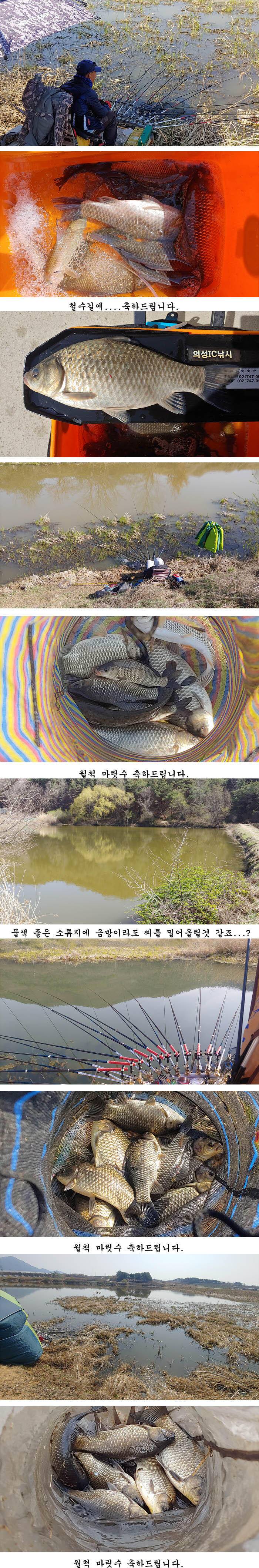 경북북부권 부분적인산란중 대물들 (조황조행기 - 특파원조황)