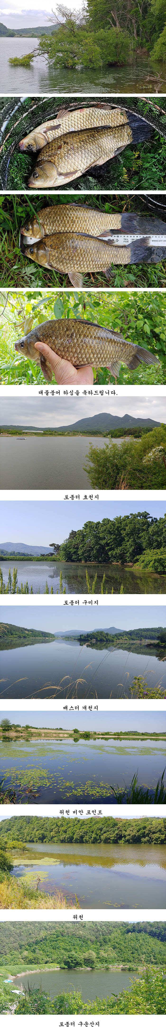 수로물이유입되는 의성서부권 배수걱정없는 의성동부와 북부 저수지들 (조황조행기 - 특파원조황)