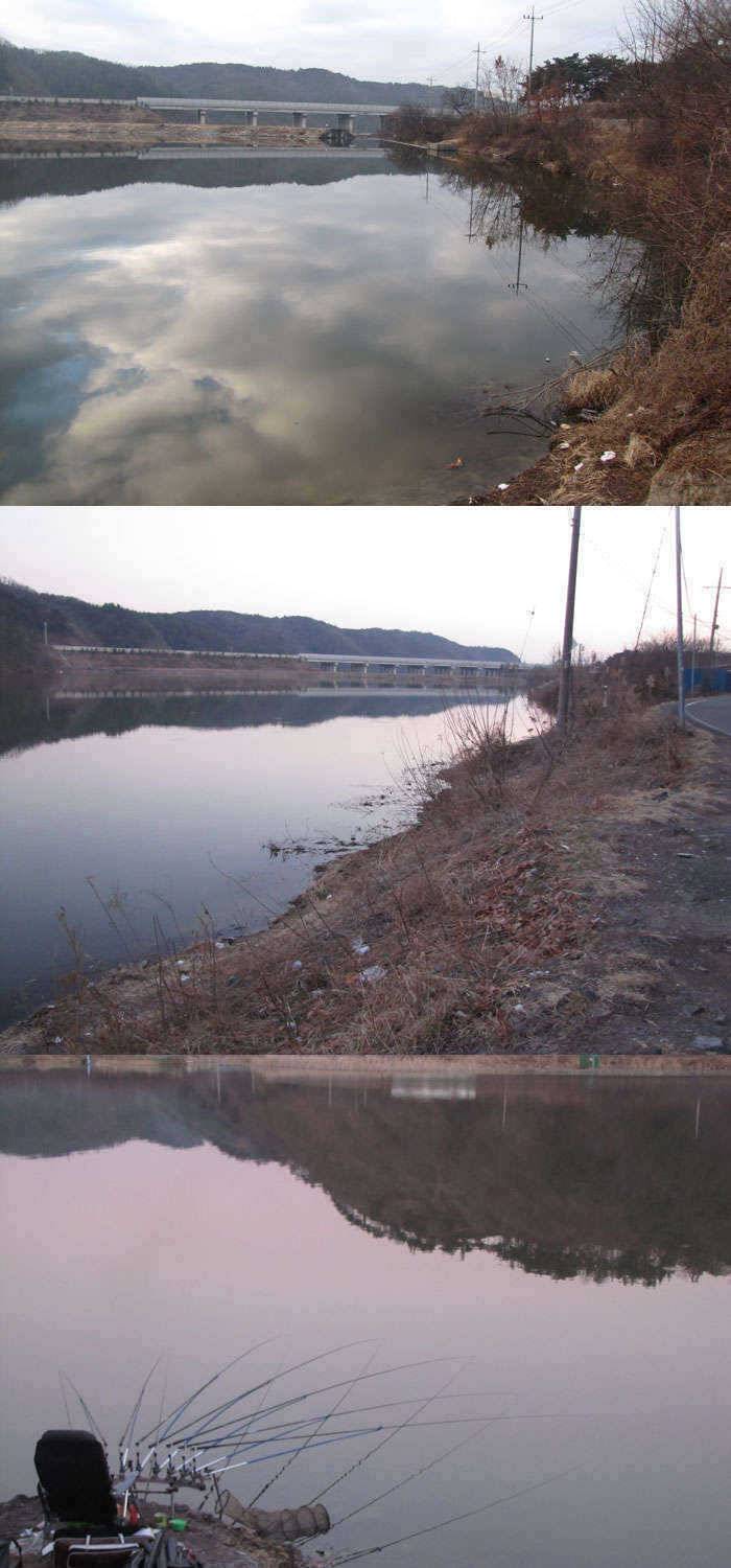 이곳 영천권에도 봄의 향기가 물씬 나네요 (조황조행기 - 특파원조황)