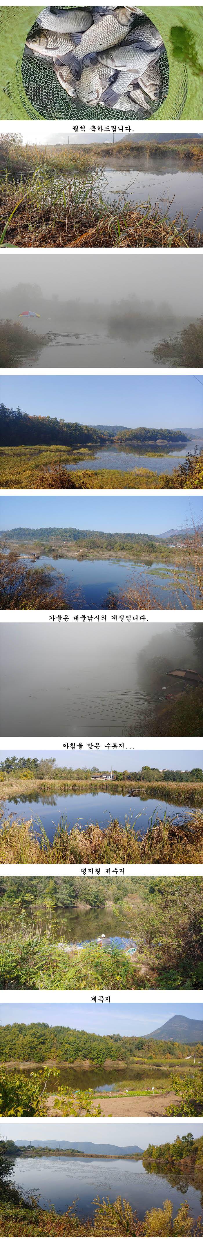 하루가 다르게 수초가 삭아내리는 경북북부권 (조황조행기 - 특파원조황)