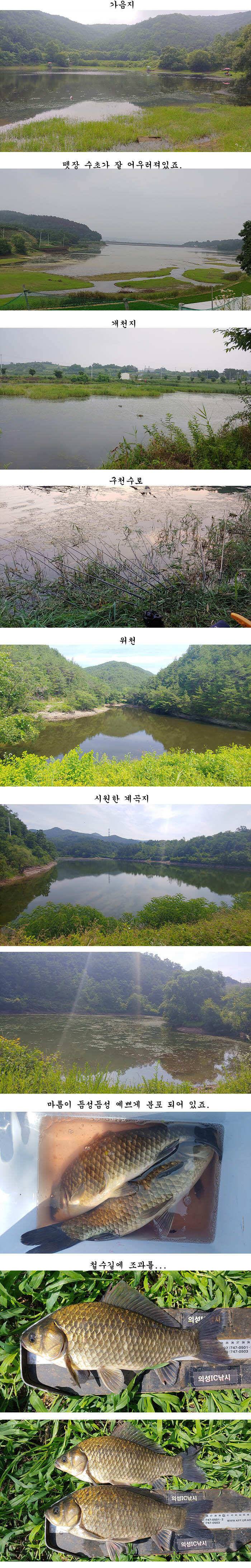 더위속에서도 월척들 (조황조행기 - 특파원조황)