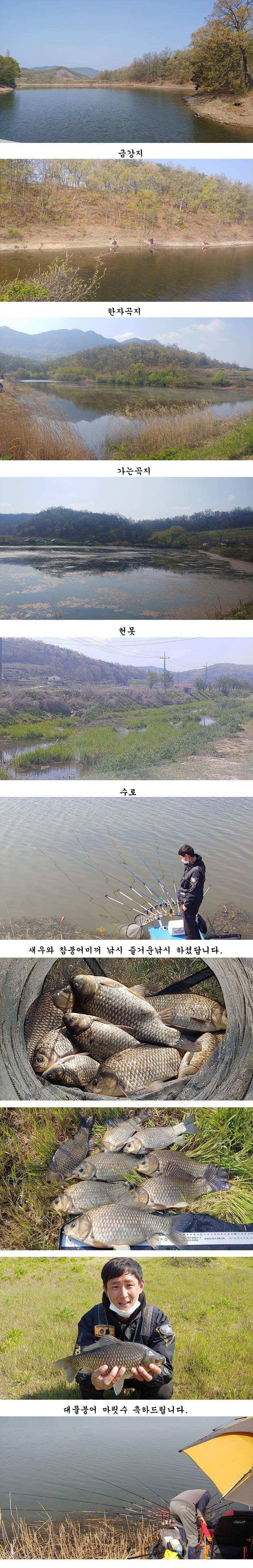 경북북부권 대물붕어 조황입니다 (조황조행기 - 특파원조황)