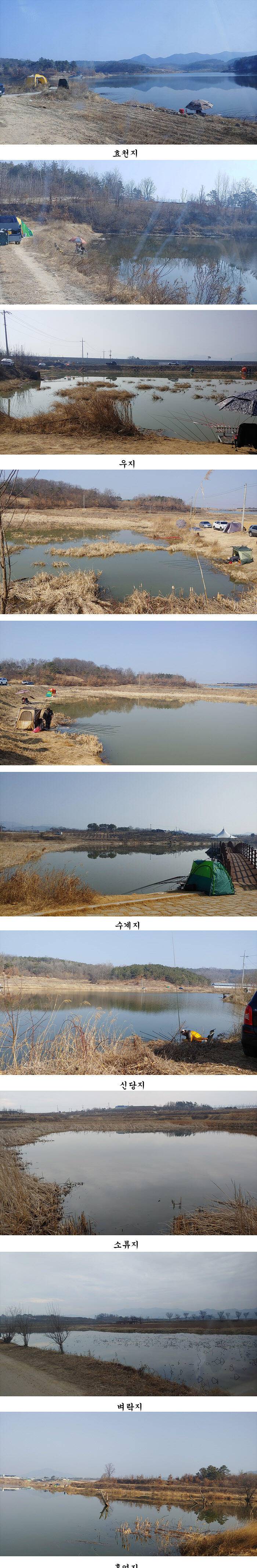 경북북부권 월척마릿수 조황 (조황조행기 - 특파원조황)