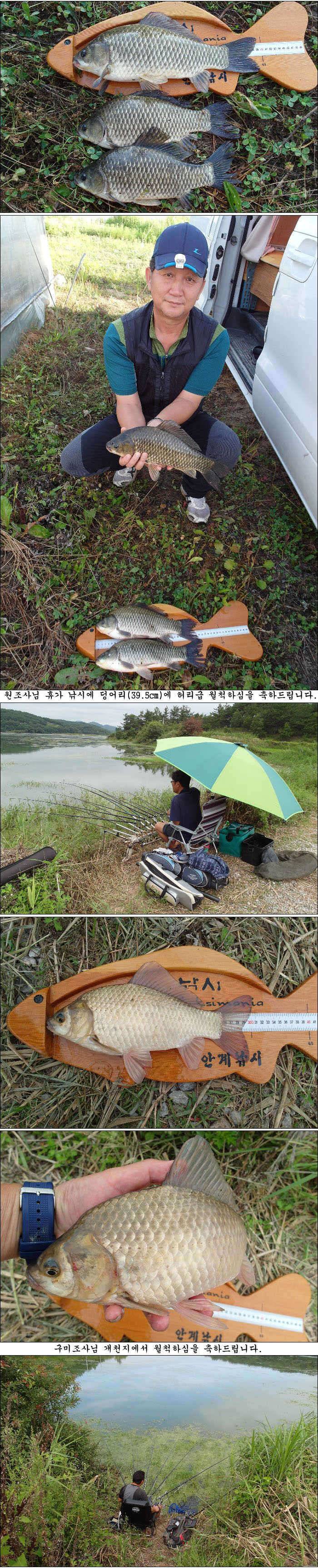 425415405cm에397395cm 대물조황 (조황조행기 - 특파원조황)