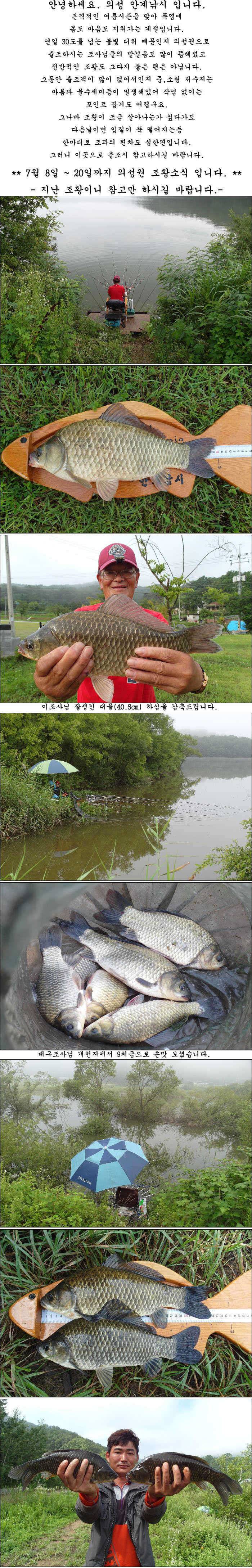 40539385cm과 허리급에 마릿수 조황 (조황조행기 - 특파원조황)
