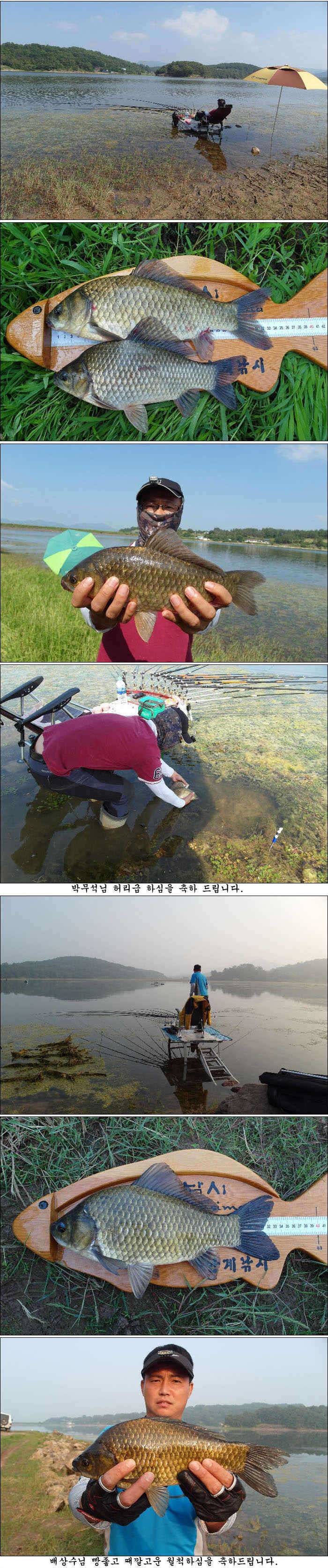 415cm와 장마비 오기전과 올때 조황 (조황조행기 - 특파원조황)
