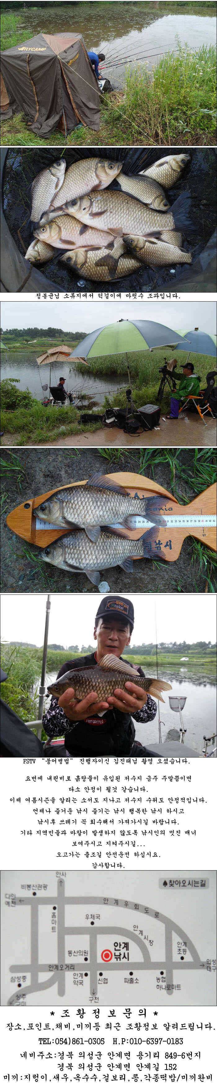 415cm와 장마비 오기전과 올때 조황 (조황조행기 - 특파원조황)