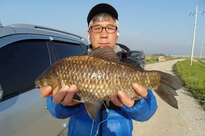 배수기에도 42cm395cm 대물에 덩어리들 (조황조행기 - 특파원조황)