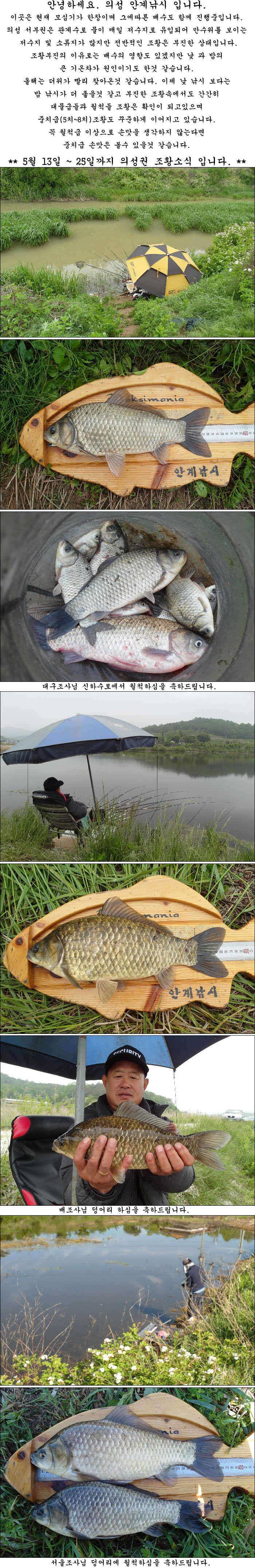 배수기에도 42cm395cm 대물에 덩어리들 (조황조행기 - 특파원조황)