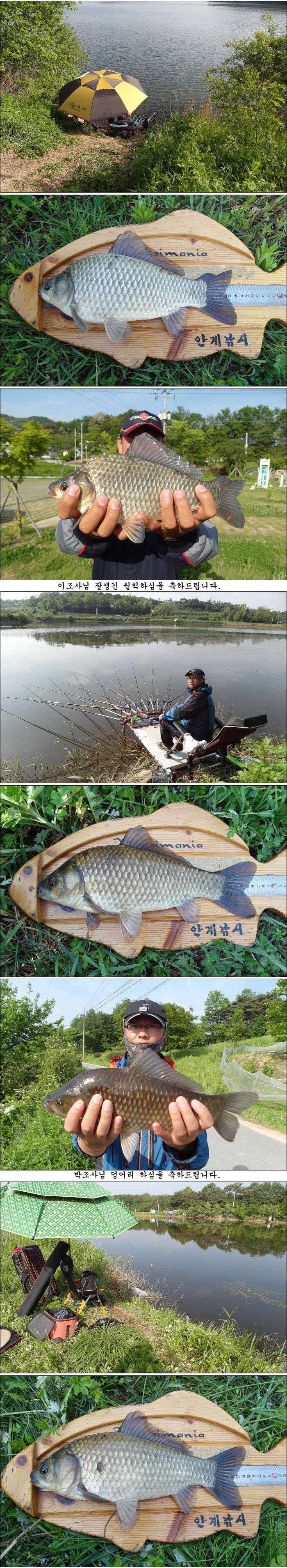 배수기에도 42cm395cm 대물에 덩어리들 (조황조행기 - 특파원조황)
