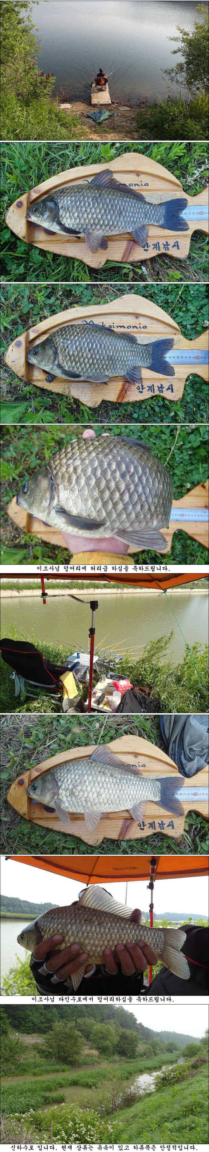배수기에도 42cm395cm 대물에 덩어리들 (조황조행기 - 특파원조황)