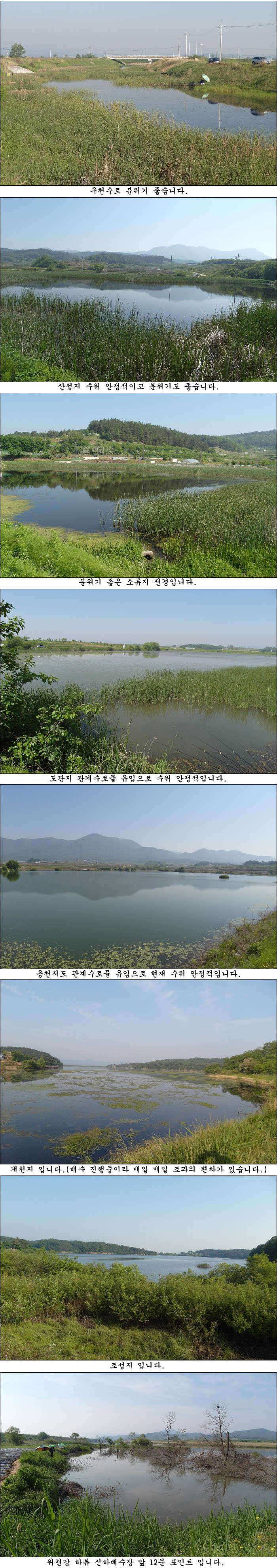 배수기에도 42cm395cm 대물에 덩어리들 (조황조행기 - 특파원조황)