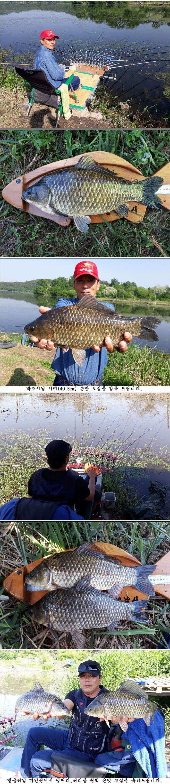 5월12일25일까지 조황소식 올립니다 (조황조행기 - 특파원조황)