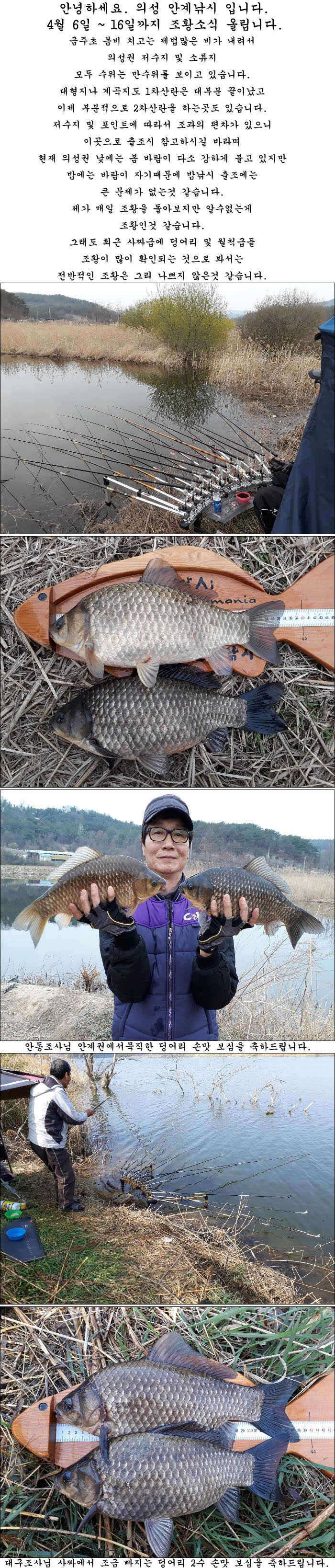 4월중순 조황소식 올립니다 (조황조행기 - 특파원조황)