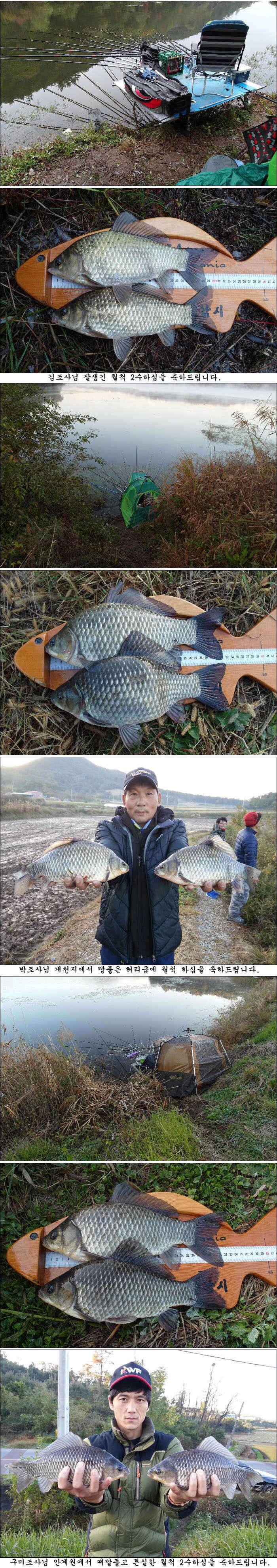 가을의 끝자락에서 조황소식 올립니다 (조황조행기 - 특파원조황)
