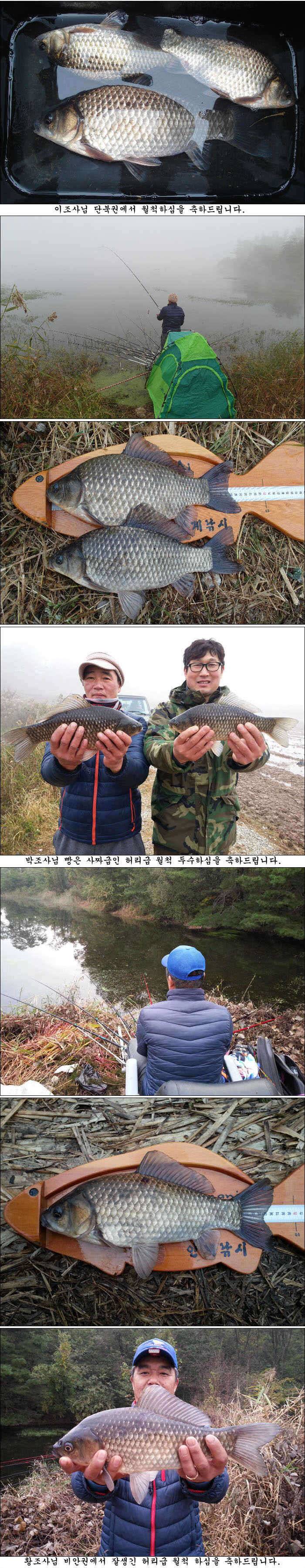 가을의 끝자락에서 조황소식 올립니다 (조황조행기 - 특파원조황)