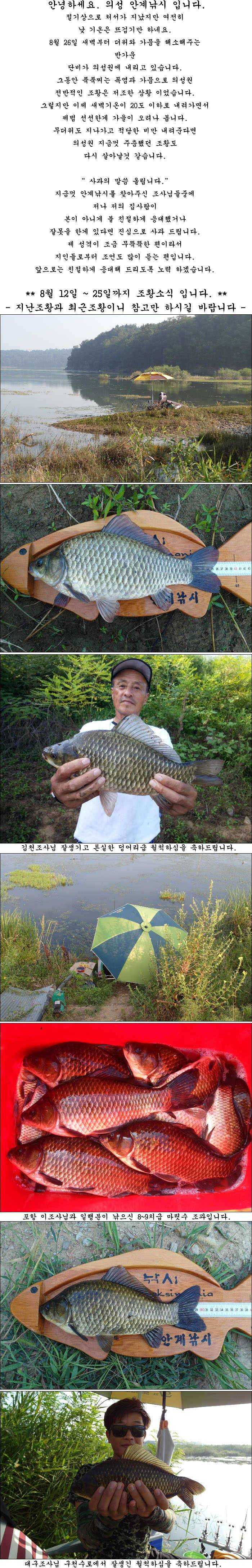 8월중순 조황소식 올립니다 (조황조행기 - 특파원조황)