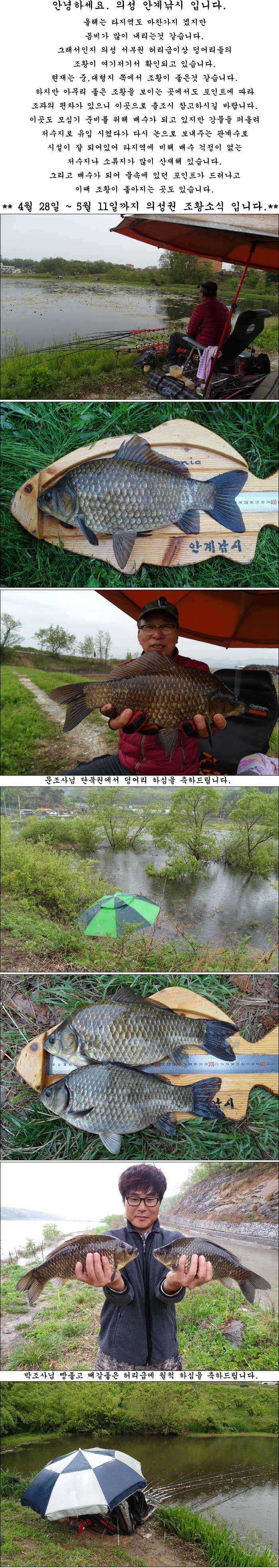 덩어리급들 조황소식 입니다 (조황조행기 - 특파원조황)