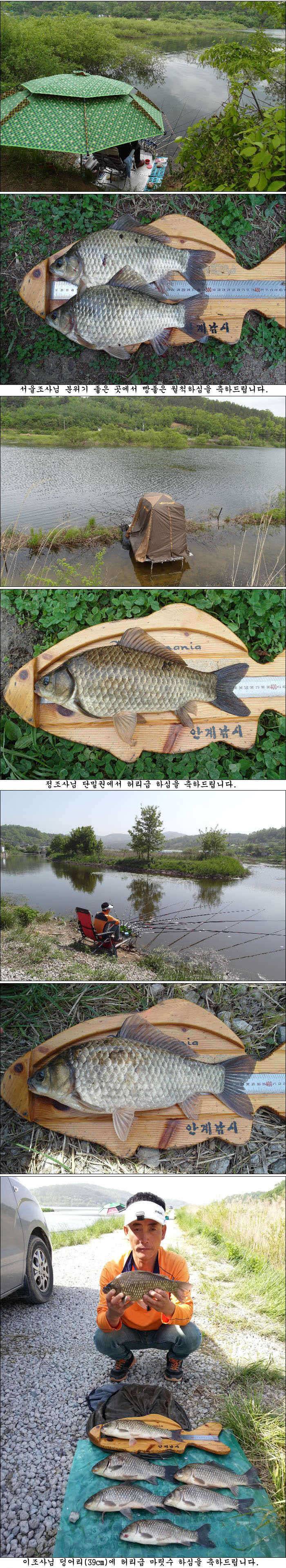 덩어리급들 조황소식 입니다 (조황조행기 - 특파원조황)