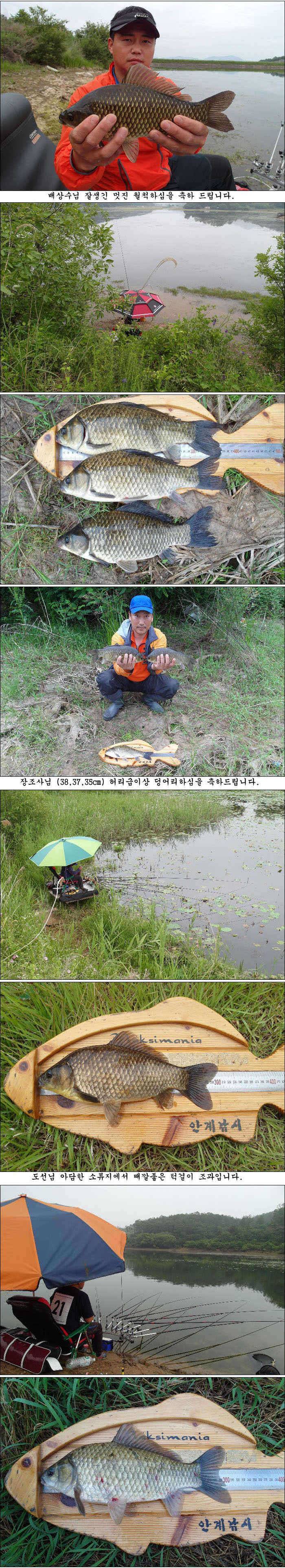 조금씩 살아나는 조황 (조황조행기 - 특파원조황)