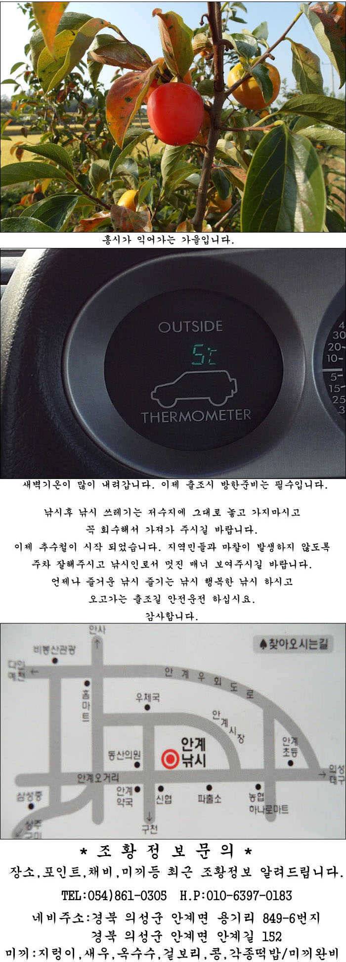 마릿수 월척에 대물 조황소식 입니다 (조황조행기 - 특파원조황)